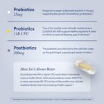 Ritual Synbiotic+ Probiotic, Prebiotic, Postbiotic, 3-in-1 Supplement for Gut Health and Digestive Support, Regularity, Bloat, Immune, Vegan Delayed-Released Daily Capsule, Women and Men, 30 Day - Image 3