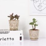 Gepege Succulent Pots, 4 Inch Small Indoor Ceramic Planter Pot with Drainage Holes and Saucers for Plants- Creamy White - Set of 4 - Image 7
