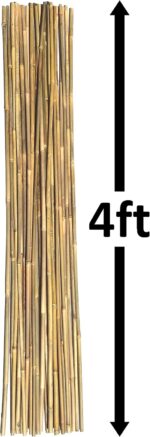 Natural Bamboo Poles, Eco-Friendly Plant Support Garden Stakes 4ft Long, Diameter of 3/8" (25-Count) - Image 2