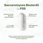 Saccharomyces Boulardii + FOS, 10 Billion CFU, 240 Veggie Capsules – Probiotics & Prebiotics for Women & Men – Gut & Digestive Health Supplement – Non-GMO - Image 3