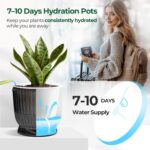 T4U 4.8 Inch Self Watering Plant Pot, 4 Pack Self Watering Pots, Self Watering Planter with Reservoir, Small Self Watering Pots for Indoor Plants, African Violets (4 Pack 4.8", Translucent Gray) - Image 5