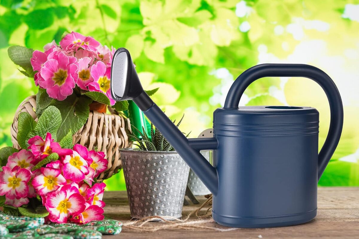 Watering Can 1 Gallon for Indoor Plants, Garden, Outdoor Plant House Flower, Gallon Large Long Spout with Sprinkler Head (Blue) - Image 7