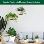 Hanging Planter Self Watering 10 Inch, 2 Pack Indoor Outdoor Hanging Baskets, Hanging Flower Pots with Drainage Hole & 2 Kinds of Plant Hangers for Garden Home Decor(Cream)… - Image 5