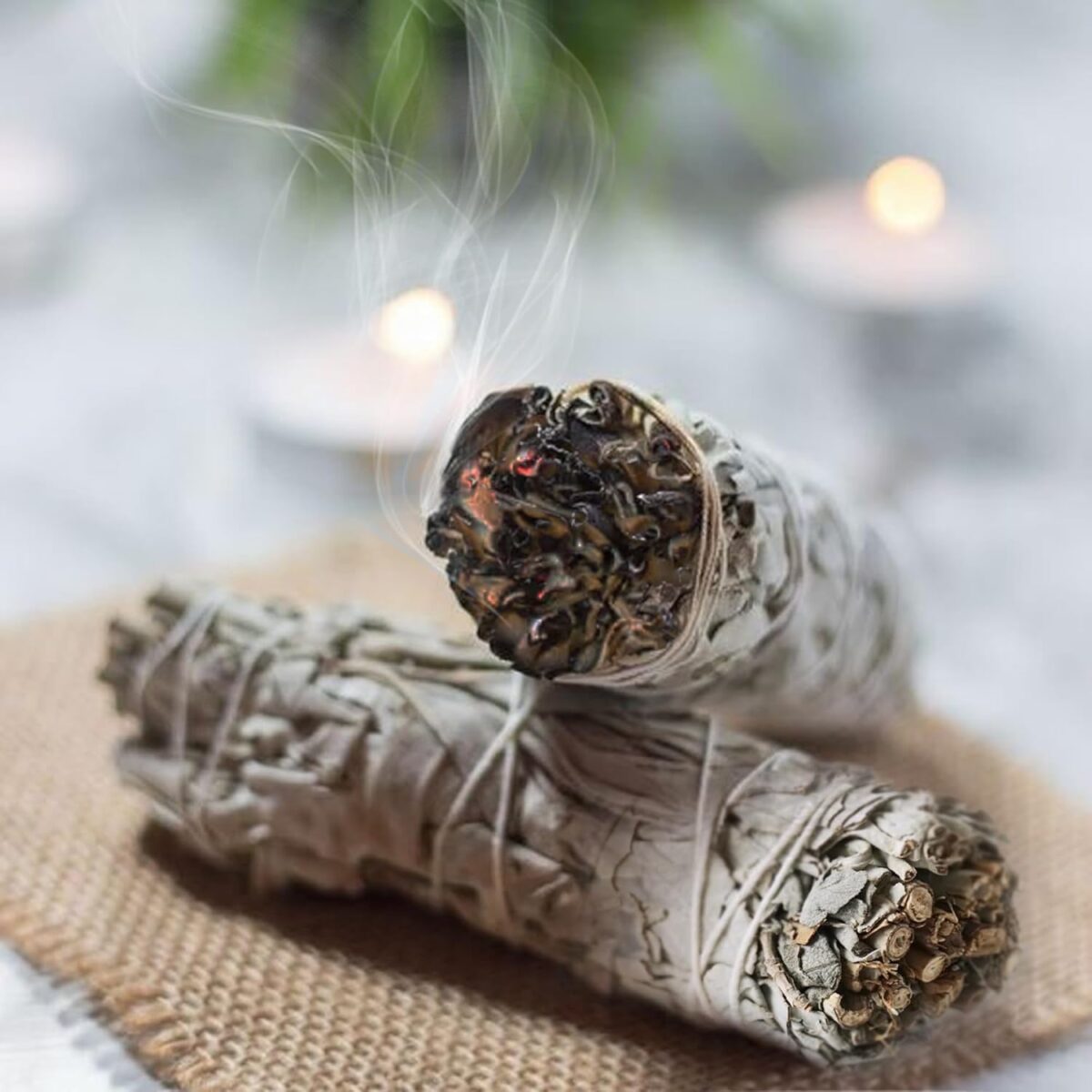 Native American Organic White Sage Smudge Sticks - Salvia Blanca para Limpiar - Sacred New Age Rituals for Energy Clearing, Meditation, Negative Energy Removal, Purification, Spiritual Healing. (3) - Image 5