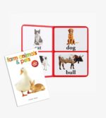 Early Learning Library: Box Set of 10 Books (Big Board Books) - Image 15