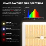 MARS HYDRO 3x3 Grow Tent Kit Complete System,150W TS1000 LED Dimmable Grow Light, 32"x32"x63" 1680D High Reflective Mylar Grow System with 4inch Adjustable Speed Ventilation System,10 Speed Clip Fan - Image 4
