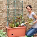 Self Watering Vegetable Planter Box with Trellis on Wheels - Mobile Garden