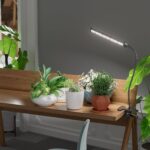 GooingTop Grow Light LED Growing Lamp,6500K 50W Full Spectrum 72 LED Gooseneck Plant Lamp Clip-on Desk for Indoor Plants Seed Starting,Lighting Brightness Adjustable,Timer 4 8 12 18Hrs - Image 3