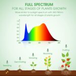 Grow Light Bulbs, Briignite LED Grow Light Bulb A19 Bulb, Full Spectrum Grow Light Bulb, Plant Light Bulbs E26 Base, 11W Grow Bulb 100W Equivalent, Grow Light for Indoor Plants, Seed Starting, 2Pack - Image 4