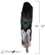 Smudge Feather, Turkey and Peacock, Unique Homecrafted Energy Cleansing Clearing Spiritual Practice House Smudging - Detailed Instructions for Beginners (Black/White) - Image 2