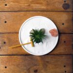 Nature's Mark Mini Zen Garden Kit for Desk with White Sand, Rake, White Base, Salt Rock and Air Plant (Round) - Image 5