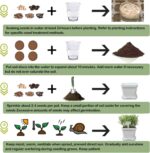Herb Grow Kit, 10 Herb Seeds DIY Garden Starter Kit, Complete Potted Plant Growing Set Including White Pots, Markers, Nutritional Soil, Watering, Clipper for Kitchen Herb - Image 5