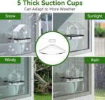 Clear Window Bird Feeder with 5 Extra Strong Suction Cups, DY-SKTY Sturdy and Durable Acrylic Bird Feeders for Viewing Wild Bird Outside, as a Bird Watching Gift, Outdoor Bird Feeder, and Garden Decor - Image 2