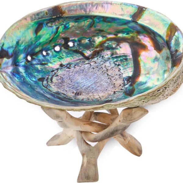5.5 Inch Smudge Kit Shell & Stand | Abalone Shell + Wood Stand | Hand Made, Sustainably Grown, Smudging Kit Smudge Bowl & Stand