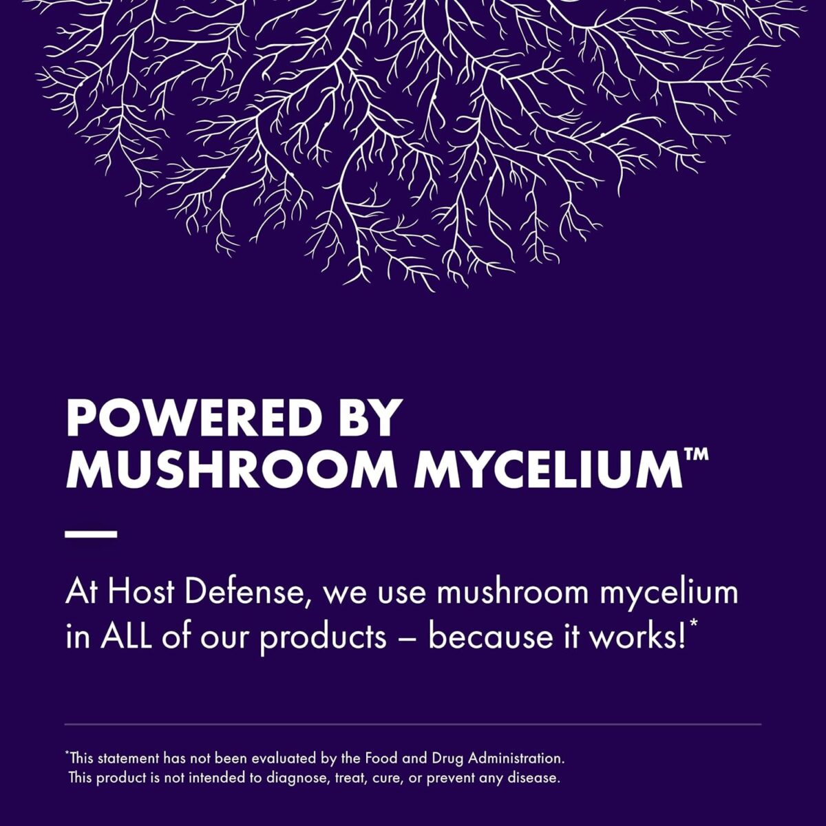 Host Defense Mushrooms Lion's Mane - Supplement Capsules for Brain Health Support - Mushroom Support for Focus & Memory Function - Immune & Nervous System Supplement - 120 Capsules (60 Servings) - Image 6