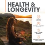 Genius Mushroom Supplement - Full-Spectrum Lion’s Mane, Cordyceps, Reishi -Daily Brain Nootropic for Energy, Focus, Memory & Overall Wellness - 90 Capsules – Organic for Mental Clarity & Performance - Image 3