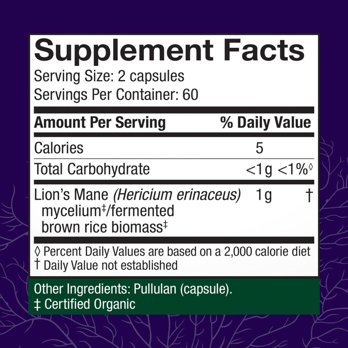 Host Defense Mushrooms Lion's Mane - Supplement Capsules for Brain Health Support - Mushroom Support for Focus & Memory Function - Immune & Nervous System Supplement - 120 Capsules (60 Servings) - Image 2