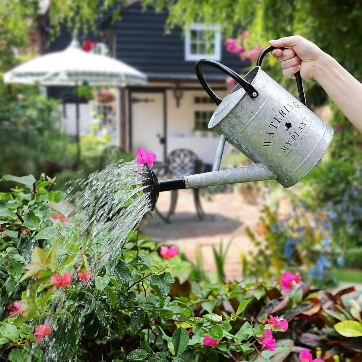 Galvanized Watering Can for Outdoor Indoor Plants, 1 Gallon Decorative Countryside Style Water Can with Removable Spout, Perfect Metal Watering Can for Indoor Plants and Garden Flower - Image 4