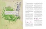 Body into Balance: An Herbal Guide to Holistic Self-Care - Image 9