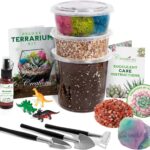 – Premium Small DIY Terrarium Kit for Succulents, Cacti & Air Plants, Includes Soil, Moss, Pebbles, Tools, Amethyst Gem & Crystal Chips – Handmade in USA
