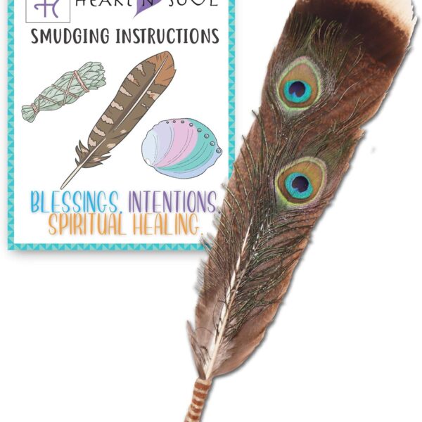 Activate Smudge Feather, Turkey and Peacock, Unique Homecrafted Energy Cleansing Clearing Spiritual Practice House Smudging - Sage, White Sage - 1 Count - 1 Feather - 1 Set - 1 Piece