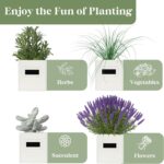 PERFNIQUE Indoor Herb Garden, Herb Garden Planter Set with Tray, Farmhouse Indoor Plant Pots, Windowsill Herb Garden with Drainage(Planter only) for Indoor/Outdoor, Window Pots(White) - Image 6
