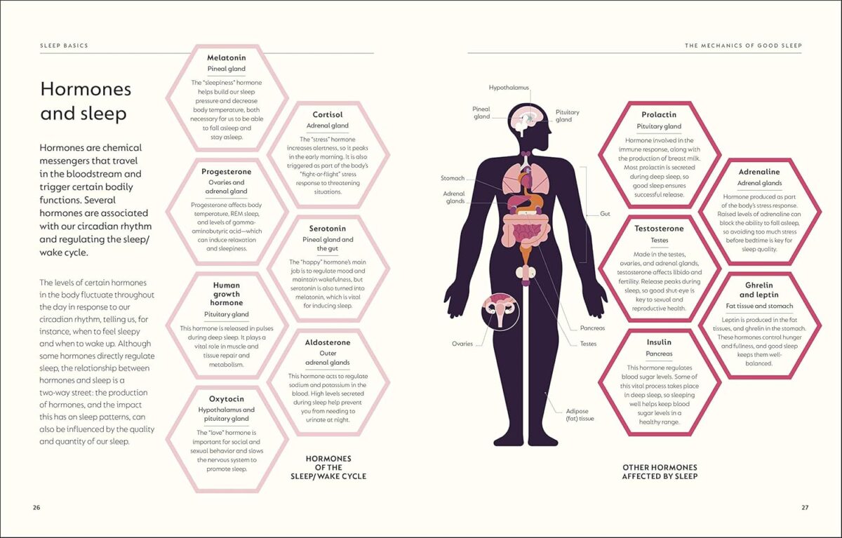 The Science of Sleep: Stop chasing a good night’s sleep and let it find you (DK Science of) - Image 3