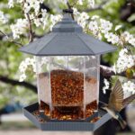 Twinkle Star Wild Bird Feeder Hanging for Garden Yard Outside Decoration, Hexagon Shaped Outside Hanging Bird Feeders for Outdoors Squirrel Proof, Cardinal Bird Feeder (Light Grey) - Image 6