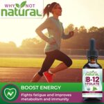 Why Not Natural Vitamin B12 Liquid Plus Folate - Organic Sublingual Extra Strength Vegan Drops - Methyl Supplement with Folinic - Image 5