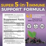 Viva Naturals Elderberry with Vitamin C and Zinc for Adults - 5 in 1 Sambucus Black Elderberry Capsules with Vitamin D3 5000 IU Immunity Supplement, Sambucus Elderberry Immune Support Supplement - Image 3