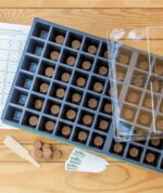 Burpee Greenhouse Indoor Starting Herbs, Flowers and Vegetables | Includes Dome, Watering, Seed Starter Tray, Coir Pellets | 10" W x 20" L x 5" H, One Size, 1 Kit (72 Cells) - Image 2