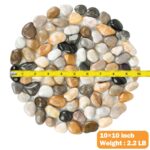 River Rock Stepping Stones Outdoor for Garden Walkway, 10 inch Diameter 6 Pcs Round Shape Paver Step Stones Polished Pebble River Stone Mat for Yard Lawn Patio Pathway Walk Way - Multi-Color - Image 2