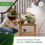 GE Grow Lights for Indoor Plants, BR30 Indoor Floodlight, LED Light Bulbs for Seeds and Greens with Balanced Spectrum, 25,000 Hours Lifespan, 16 PPF, 2 Pack (Packaging May Vary) - Image 5