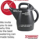 Chapin 2 Gallon Watering Can - Garden Watering Can for Indoor & Outdoor Plants, 100% Recycled Plastic Watering Can with Detachable, Drip-free Sprinkler Head, Made in USA - Image 6