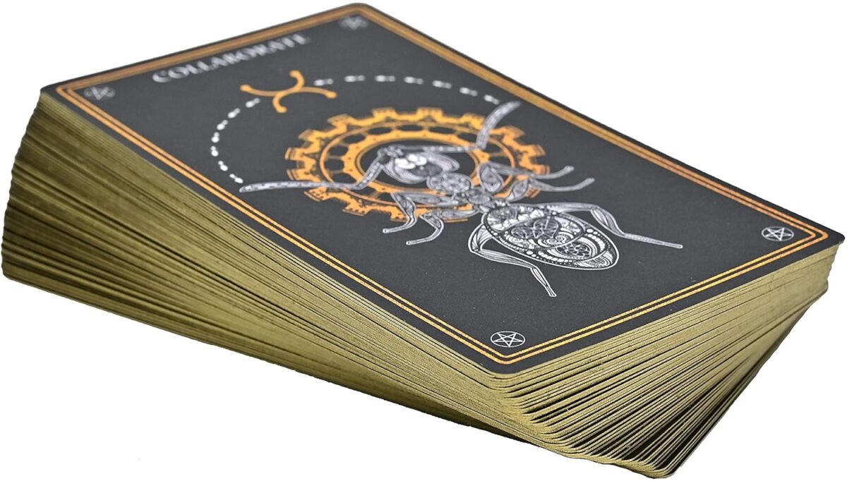 Wild Mystic Oracle Card Deck: A 50-Card Deck and Guidebook - Image 13