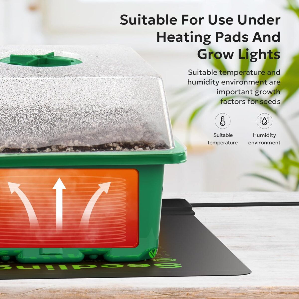 MIXC 10 Packs Seed Starter Tray Seed Starter Kit with Humidity Dome (120 Cells Total Tray) Seed Starting Trays Plant Starter Kit and Base Mini Greenhouse Germination Kit for Seeds Growing Starting - Image 2