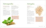 The Big Book of Herbal Medicine: 300 Natural Remedies for Health and Wellness - Image 2