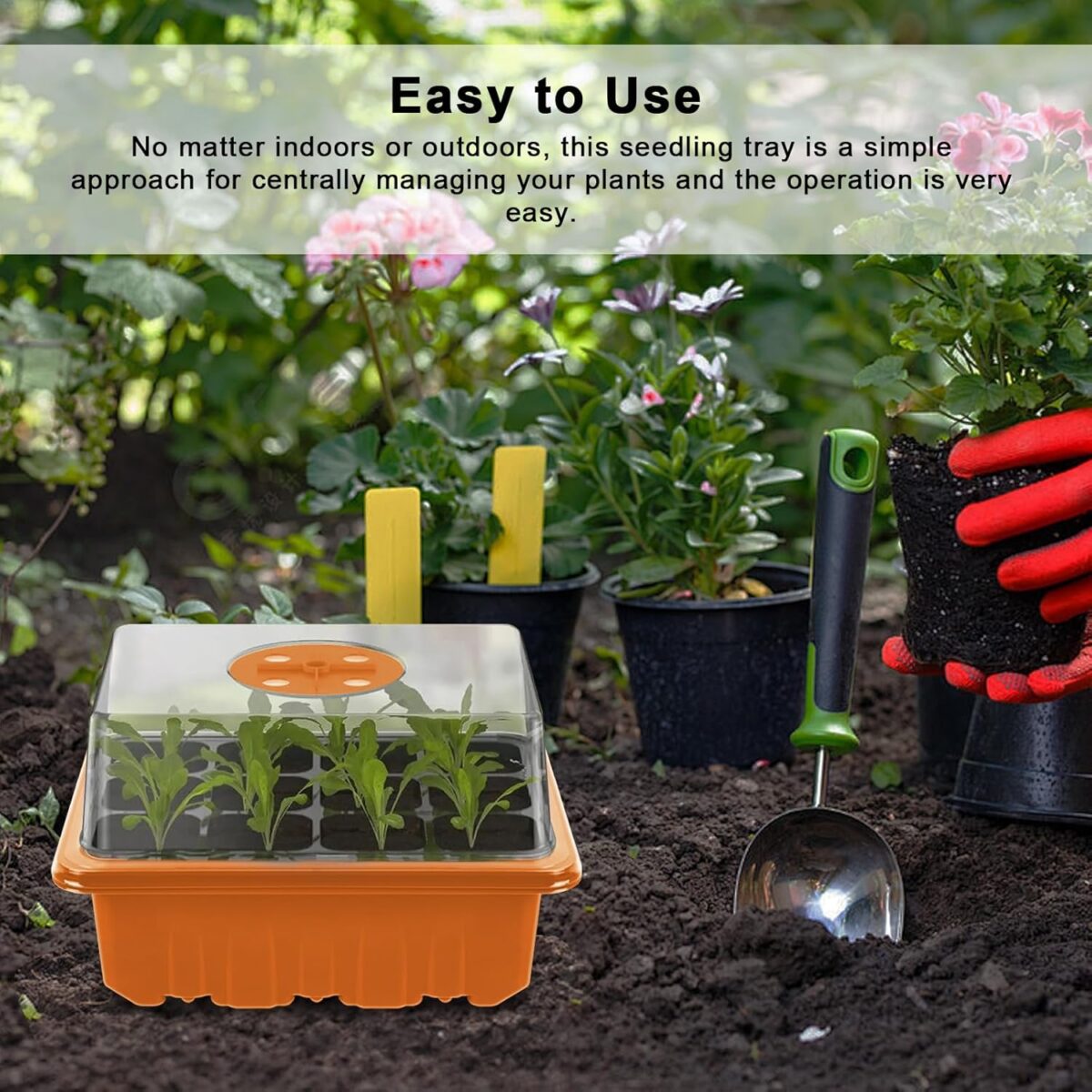 GooingTop Seed Starter Tray, 6 Pack 72 Cells Plant Grow Kit with Adjustable Humidity Vent for Mini Greenhouse Garden Germination,Bonsai Seedlings Starting Growing - Image 4
