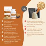 Real Mushrooms Cordyceps Capsules - Performance Mushroom Extract Supplement with Organic Militaris for Energy Immune Support Vegan Supplement, Non-GMO, 120 Caps - Image 5