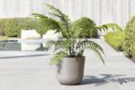 Ecopots Oslo Durable Modern Round Indoor/Outdoor Recycled-Based Composite Flower Pot Planter, Taupe, 14" - Image 3