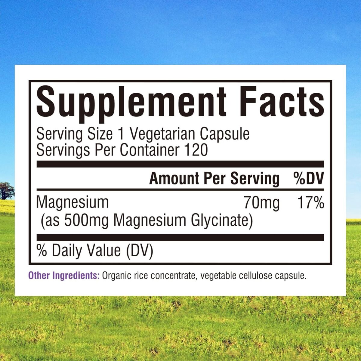 Innate Vitality Magnesium Glycinate 500mg | 70mg Elemental Magnesium Supplement- High Absorption, Non Buffered, Non-GMO & No Gluten - Nerve, Muscle, Bone Health - 120 Vegan Capsules Magnesio - Image 3