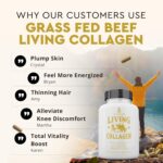 Ancestral Supplements Grass Fed Beef Living Collagen Nutritional Powder Supplement, 3000mg, Promotes Healthier, Younger Looking Skin, Hair, Nails and Joints, Type II, 180 Capsules - Image 6