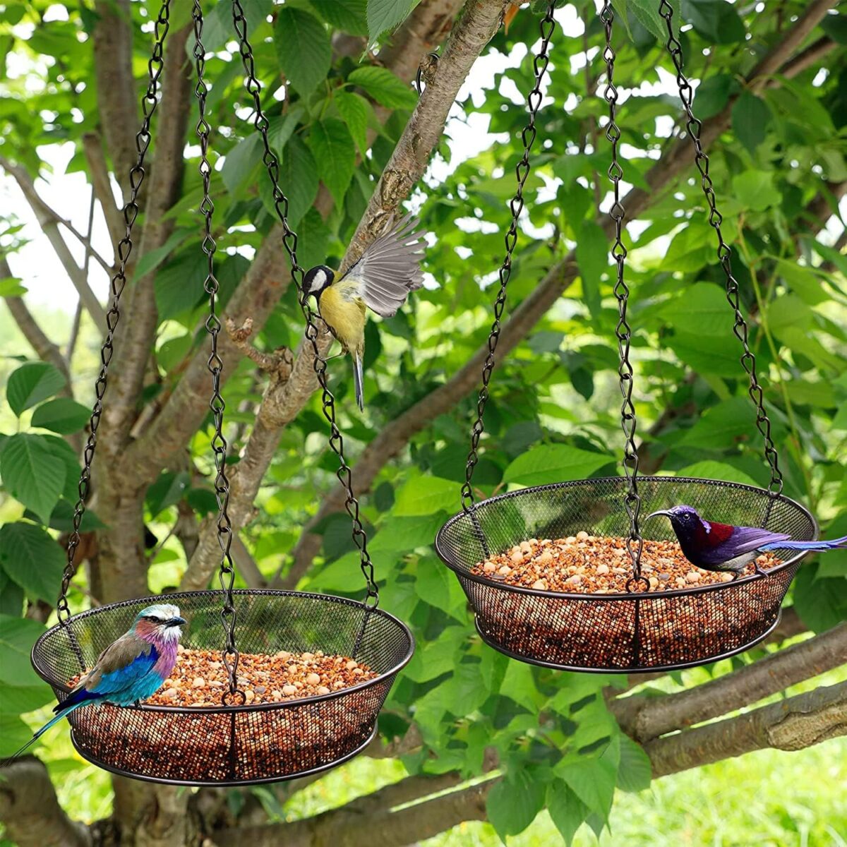 FLINTER 2 Pack Hanging Bird Feeder for Garden Yard Outside - Metal Mesh Platform Tray for Attracting Birds Outdoors - Image 6