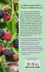 Edible Wild Plants: A North American Field Guide to Over 200 Natural Foods - Image 2