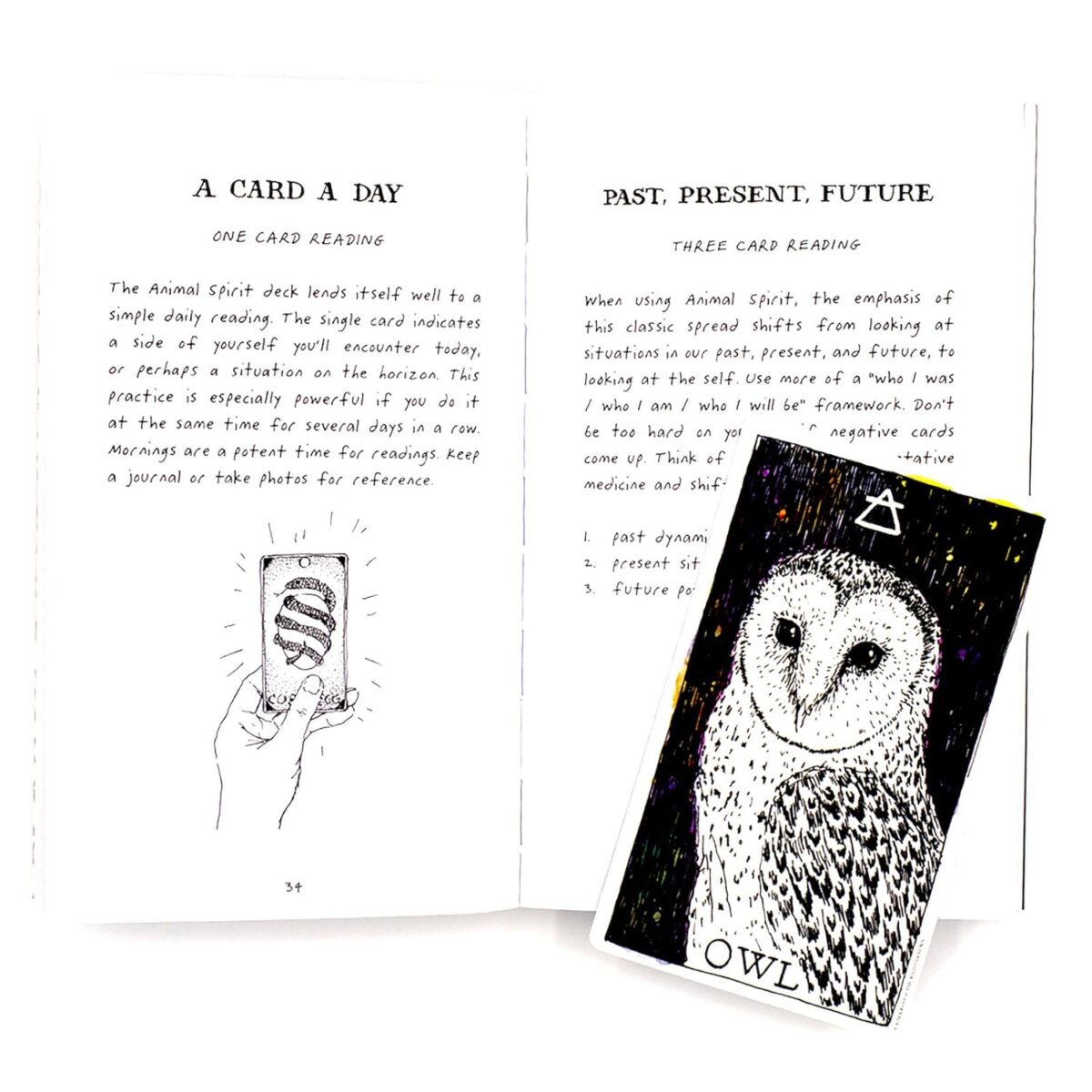 The Wild Unknown Animal Spirit Deck and Guidebook (Official Keepsake Box Set) - Image 7