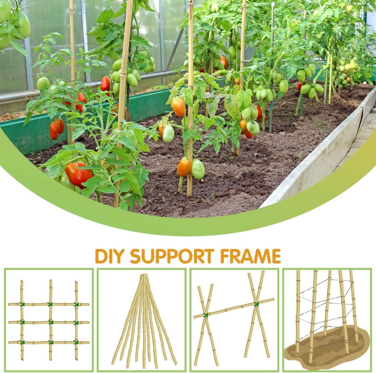Plant Stakes,4FT Longer Sturdy Natural Bamboo Garden Stakes,GAGINANG 25Pcs Bamboo Sticks Trellis Support for Tomato, Vegetables Beans Trees Climbing Plants - Image 5