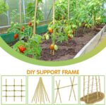 Plant Stakes,4FT Longer Sturdy Natural Bamboo Garden Stakes,GAGINANG 25Pcs Bamboo Sticks Trellis Support for Tomato, Vegetables Beans Trees Climbing Plants - Image 5