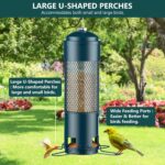 Bird Feeders for Outdoors Squirrel Proof with Weight-Activated Perches, Hanging Bird Feeder for Outside, Metal Feeder for Wild Cardinal, Finch, Blue Jay, Chickadee, 3LB Seed Capacity, Green - Image 6