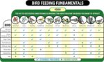 Wagner's 53002 Farmer's Delight Wild Bird Food with Cherry Flavor, 10-Pound Bag - Image 4