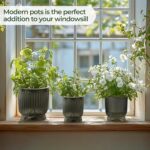 T4U 4.8 Inch Self Watering Plant Pot, 4 Pack Self Watering Pots, Self Watering Planter with Reservoir, Small Self Watering Pots for Indoor Plants, African Violets (4 Pack 4.8", Translucent Gray) - Image 7